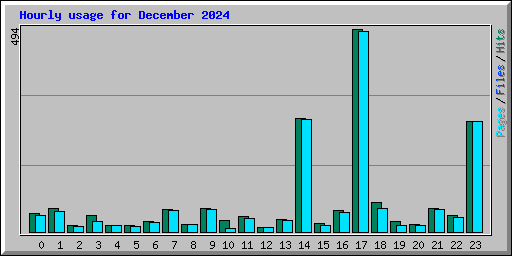 Hourly usage for December 2024
