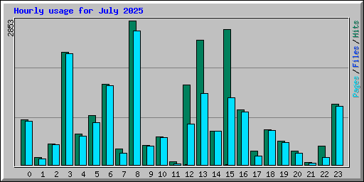 Hourly usage for July 2025