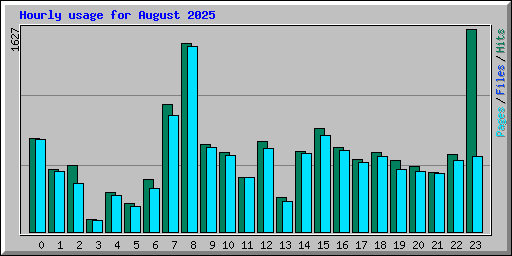 Hourly usage for August 2025